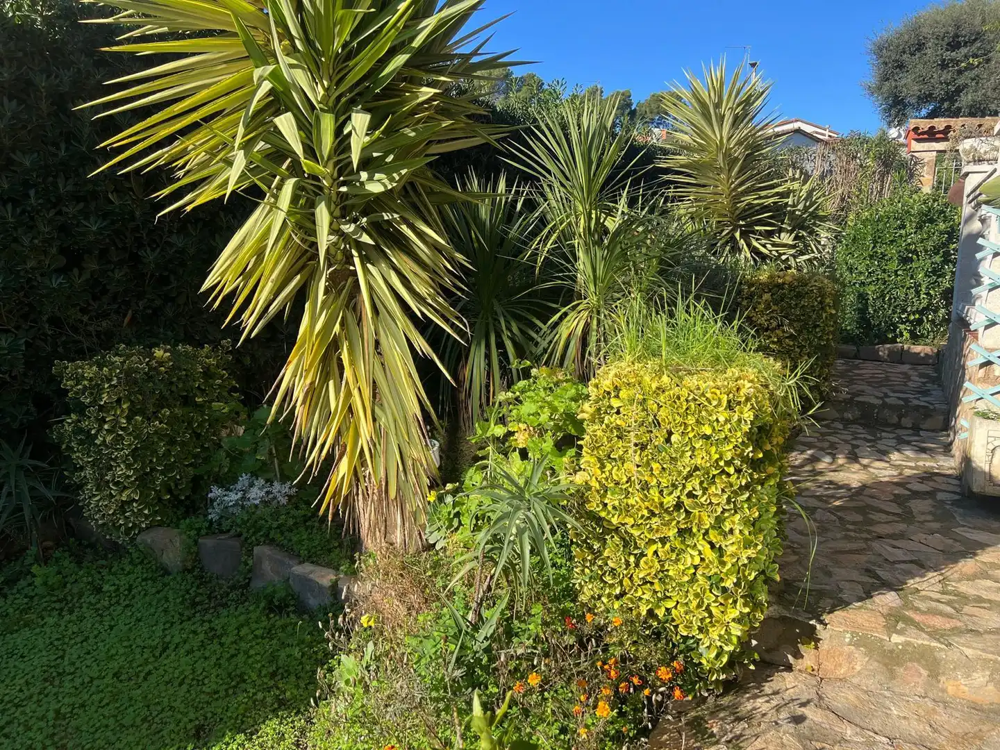 Jardín de Casa o chalet en venta en Begur con Calefacción, Jardín privado y Terraza