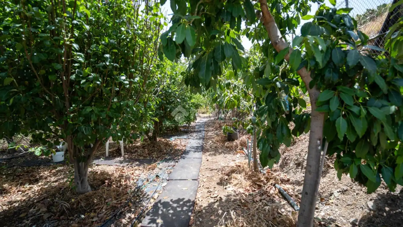 Terreny rústic en venda a Valsequillo de Gran Canaria, imagen 6