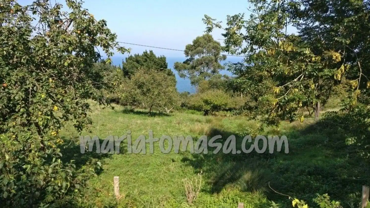 Residencial en venta en Ibarrangelu