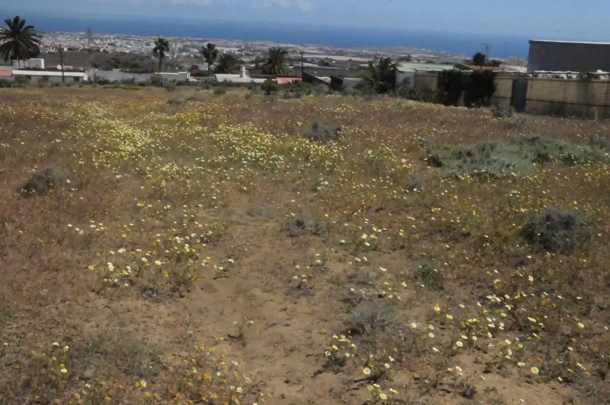Rural land for sale in Valle de los Nueve - El Ejido - Medianías, imagen 3