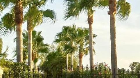 Photo 2 of Country house for sale in Villalba del Alcor, Huelva