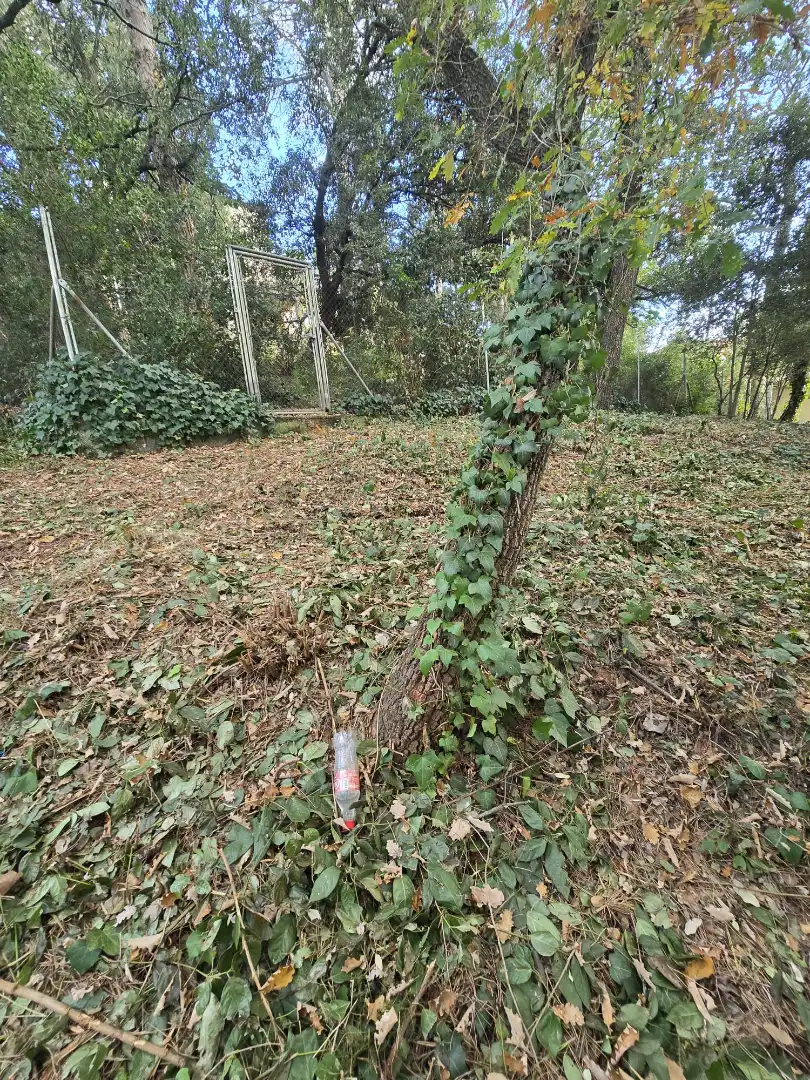 Terreno residencial en venta en Passeig d'Egara 2, imagen 3