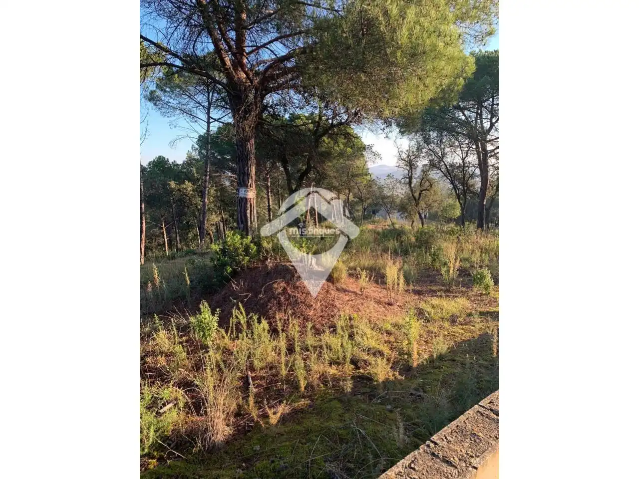 Terreno industrial en venta en Fogars de la Selva