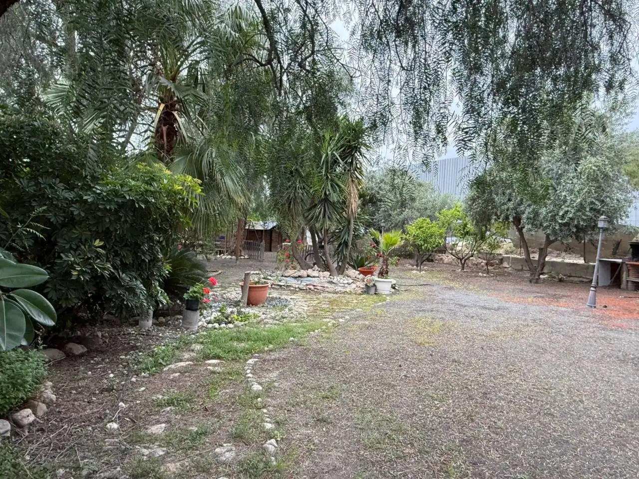 Terreno en venta en Cieza