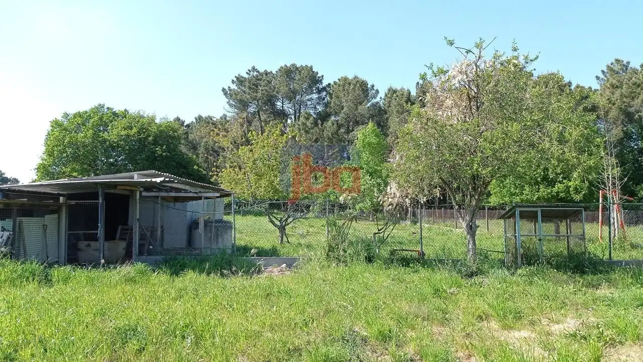 Xalet amb jardí en venda a Coles, imagen 23