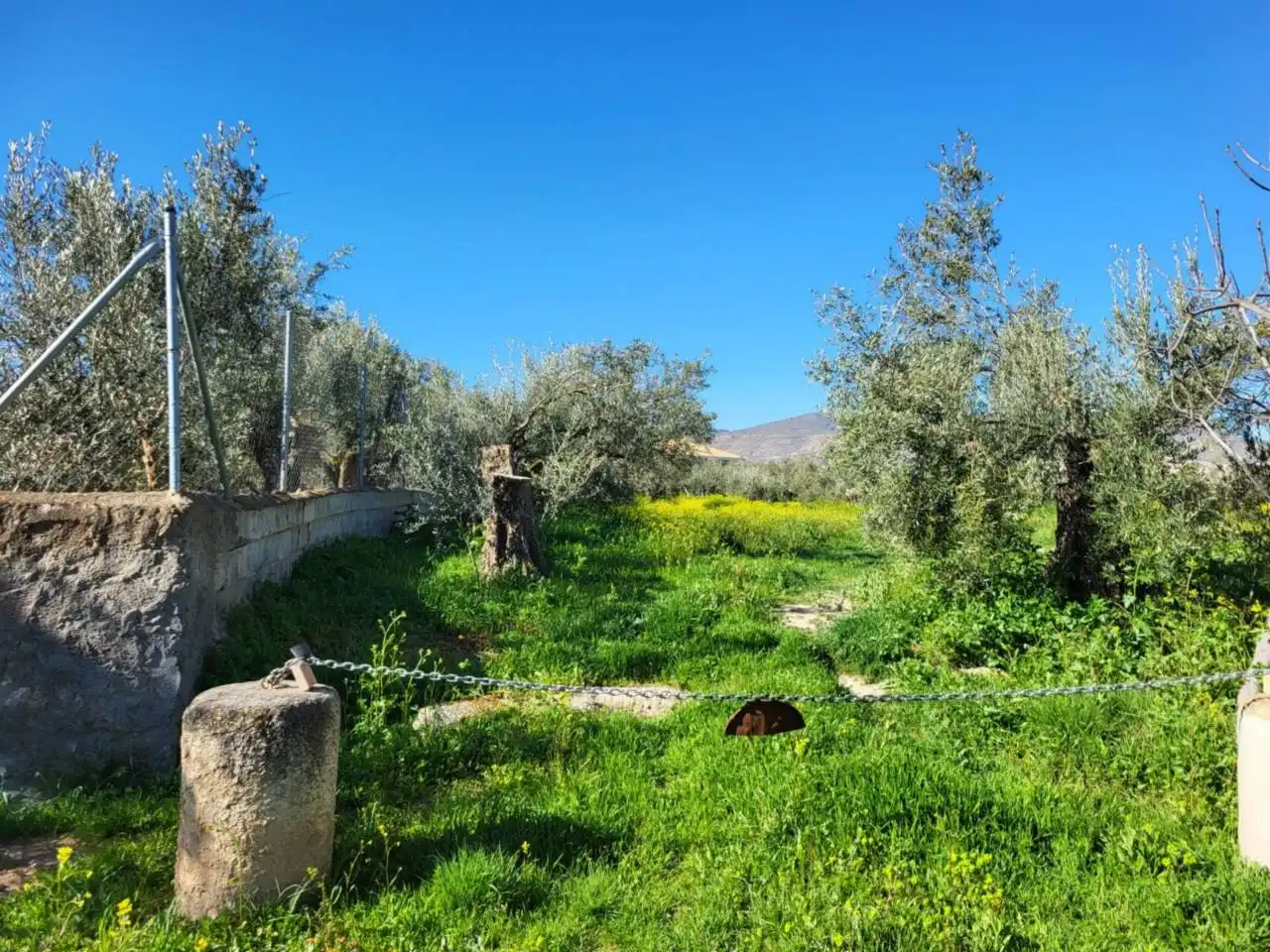 Casa o xalet en venda en Baza amb Terrassa