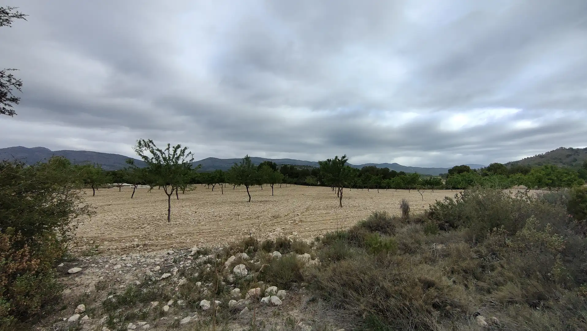 Terreno rustico in vendita a Plaça Poligono 3 271, imagen 5