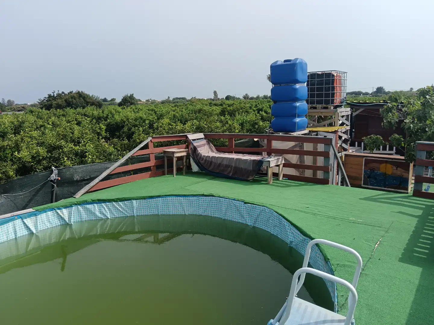 Piscina de Finca rústica en venda en Nules amb Jardí privat, Terrassa i Traster
