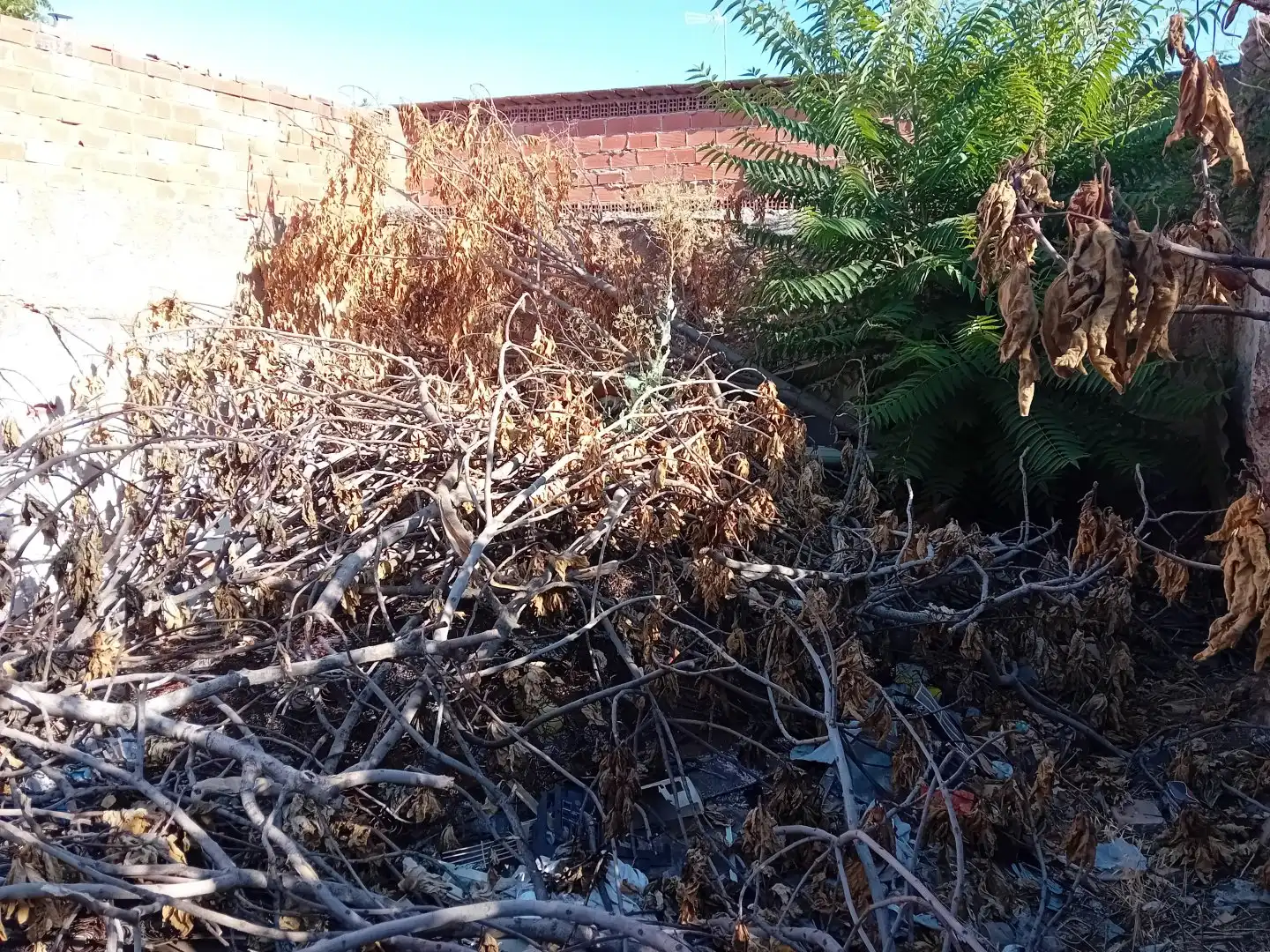Terrenos y solares en venta en Torralba de Calatrava, imagen 6
