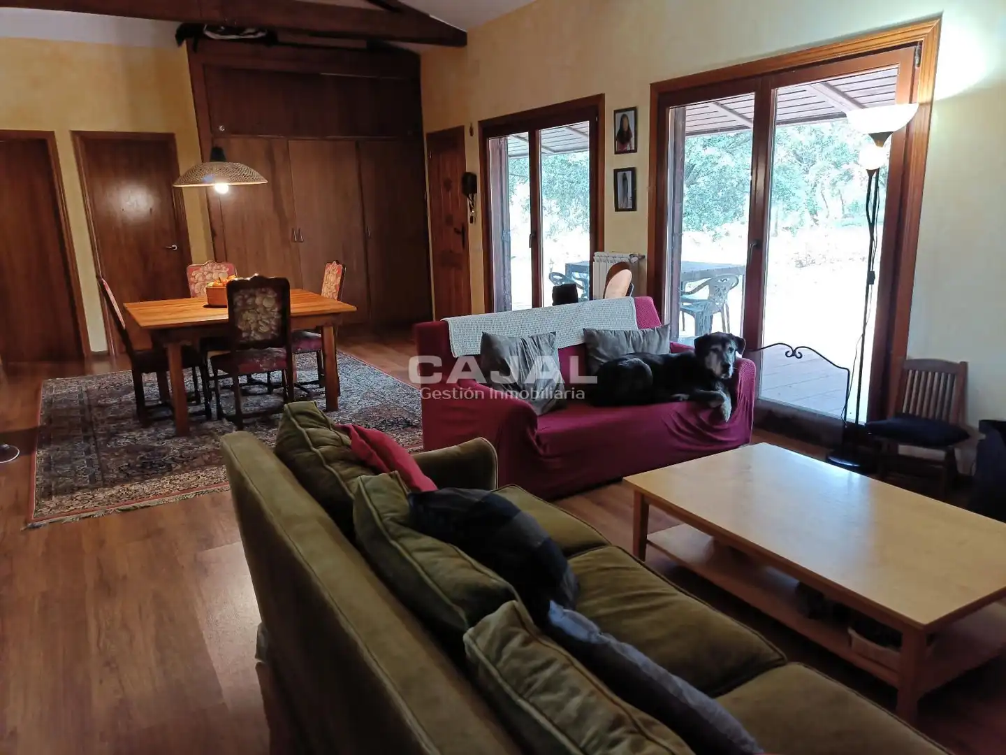 Sala de estar de Casa o chalet en venta en Castillejo de Mesleón con Calefacción