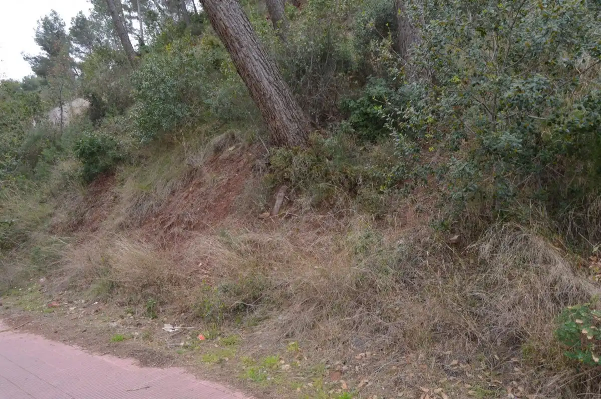 Terreni e lotti in vendita a Corbera de Llobregat, imagen 13