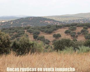 Land for sale in Almadén