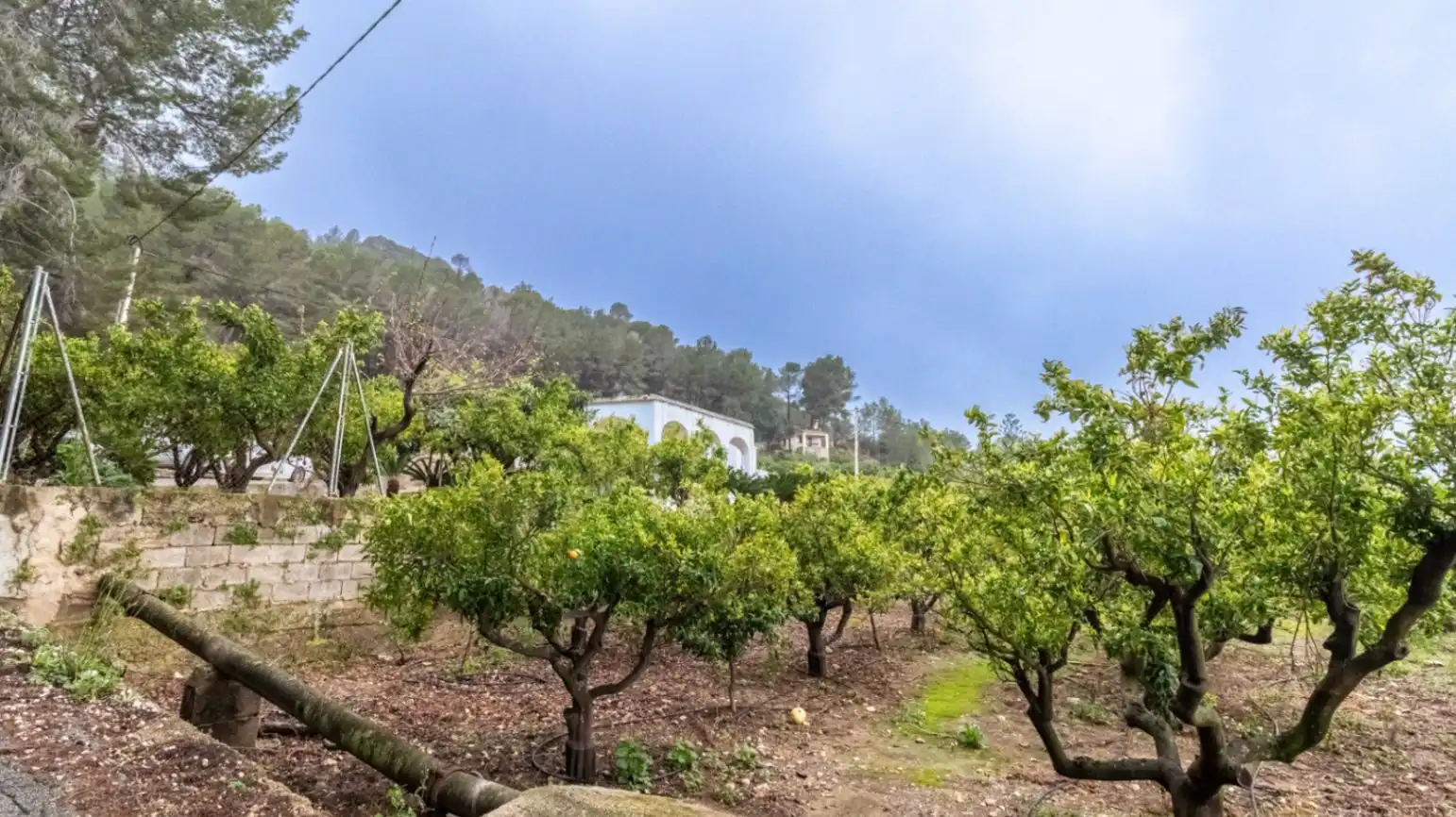 Casa rústica con jardín en venta en Pego, imagen 11