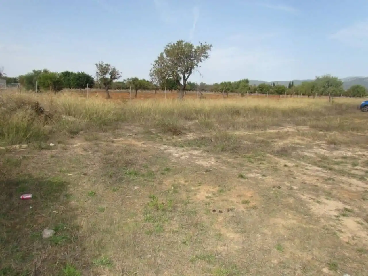 Terreno rustico in vendita a Calle Pou Bo