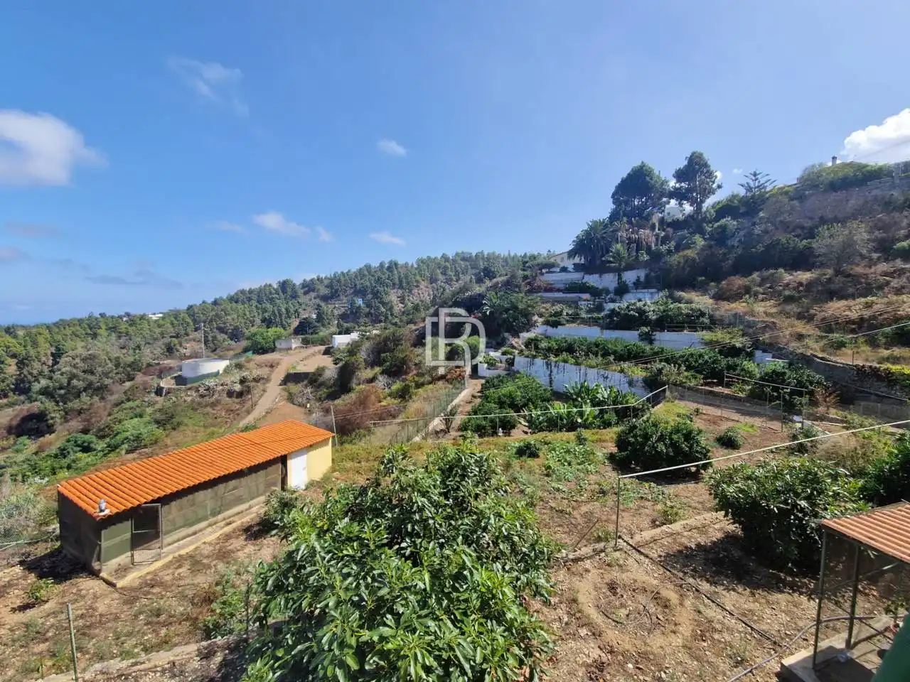 Finca rústica en venta en Icod de los Vinos con Jardín privado y Terraza