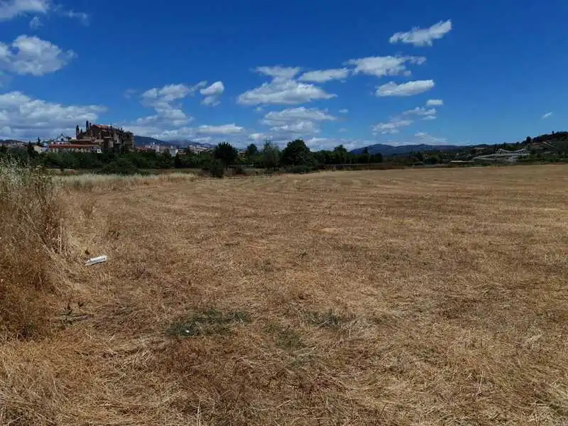 Terreni e lotti in vendita a Carretera Malpartida, imagen 15