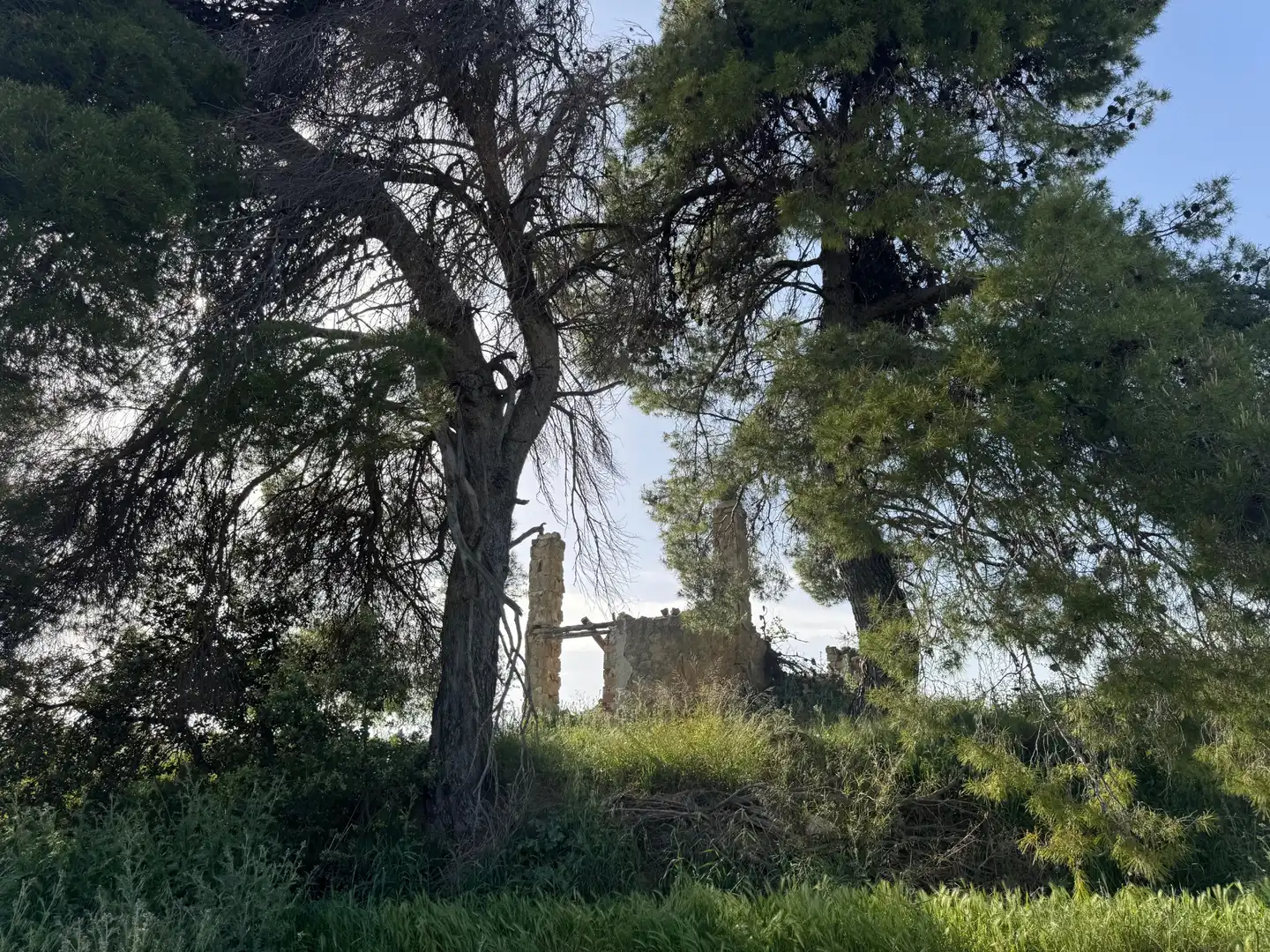 Terreni e lotti in vendita a Valderrobres, imagen 6