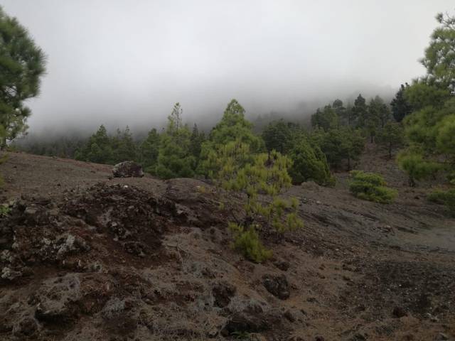 Terreno en Venta en Las Manchas Polígono 53 en El Paso