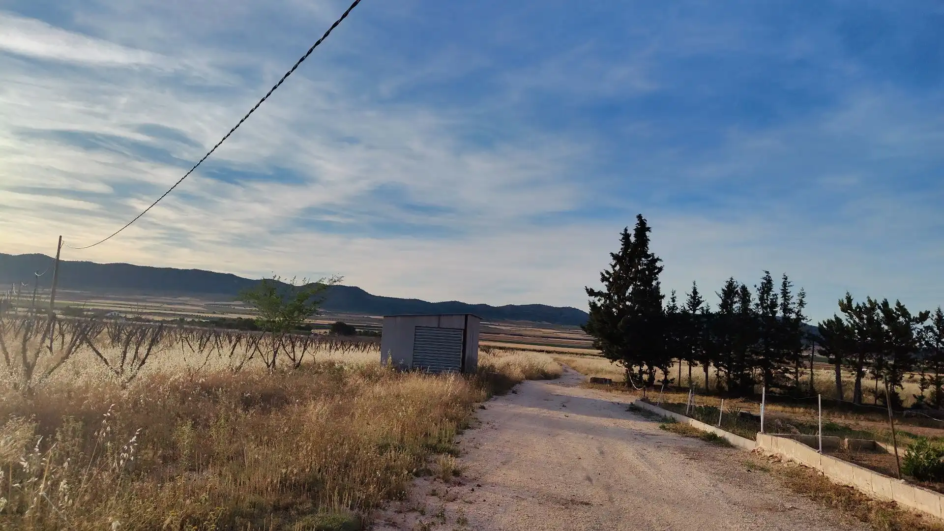Terreni e lotti in vendita a Yecla, imagen 10