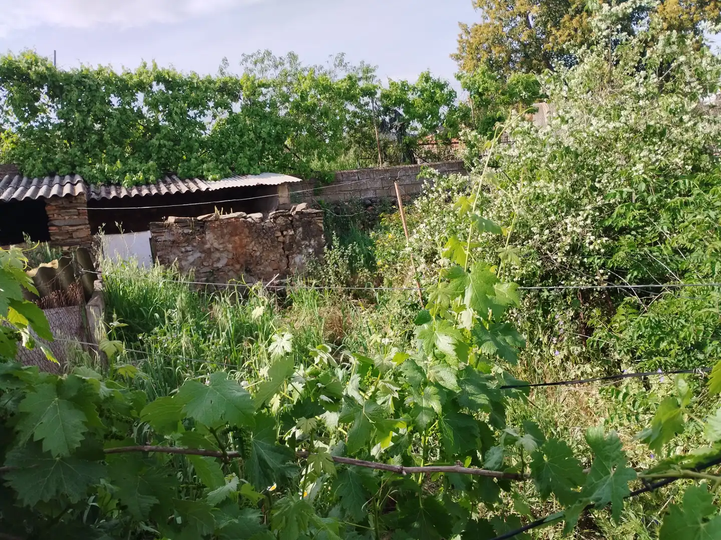 Casa con giardino in vendita a Jerez de los Caballeros, imagen 4