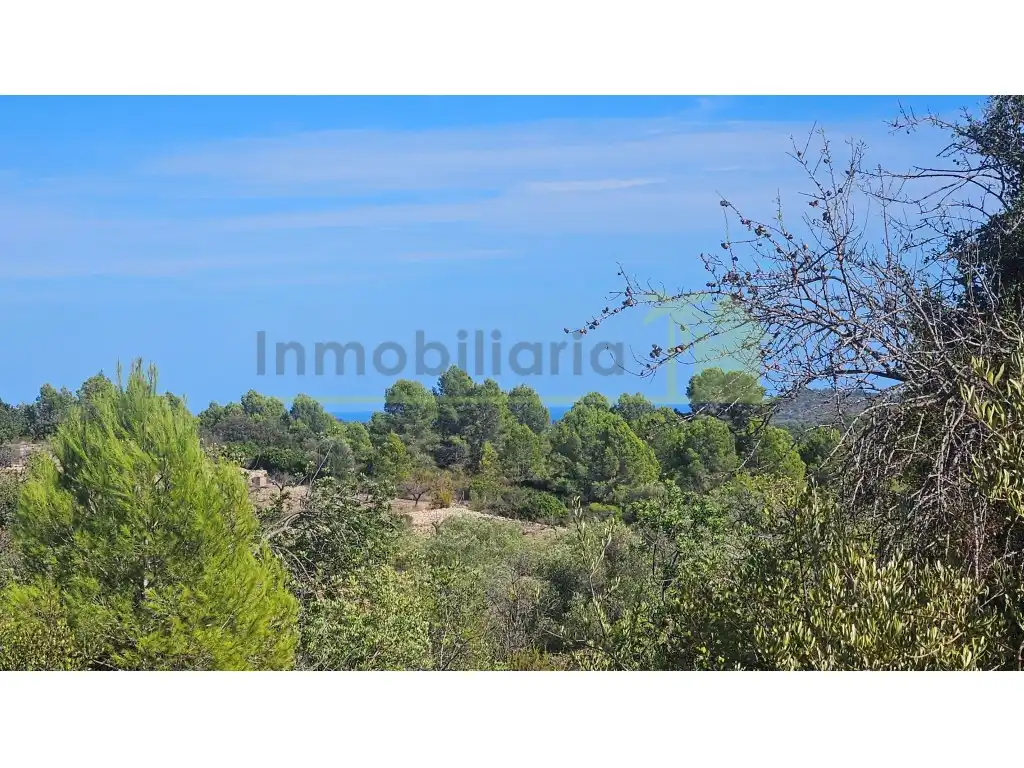 Rural land for sale in Poligono 37 Paraje 351 T Cerver, imagen 11