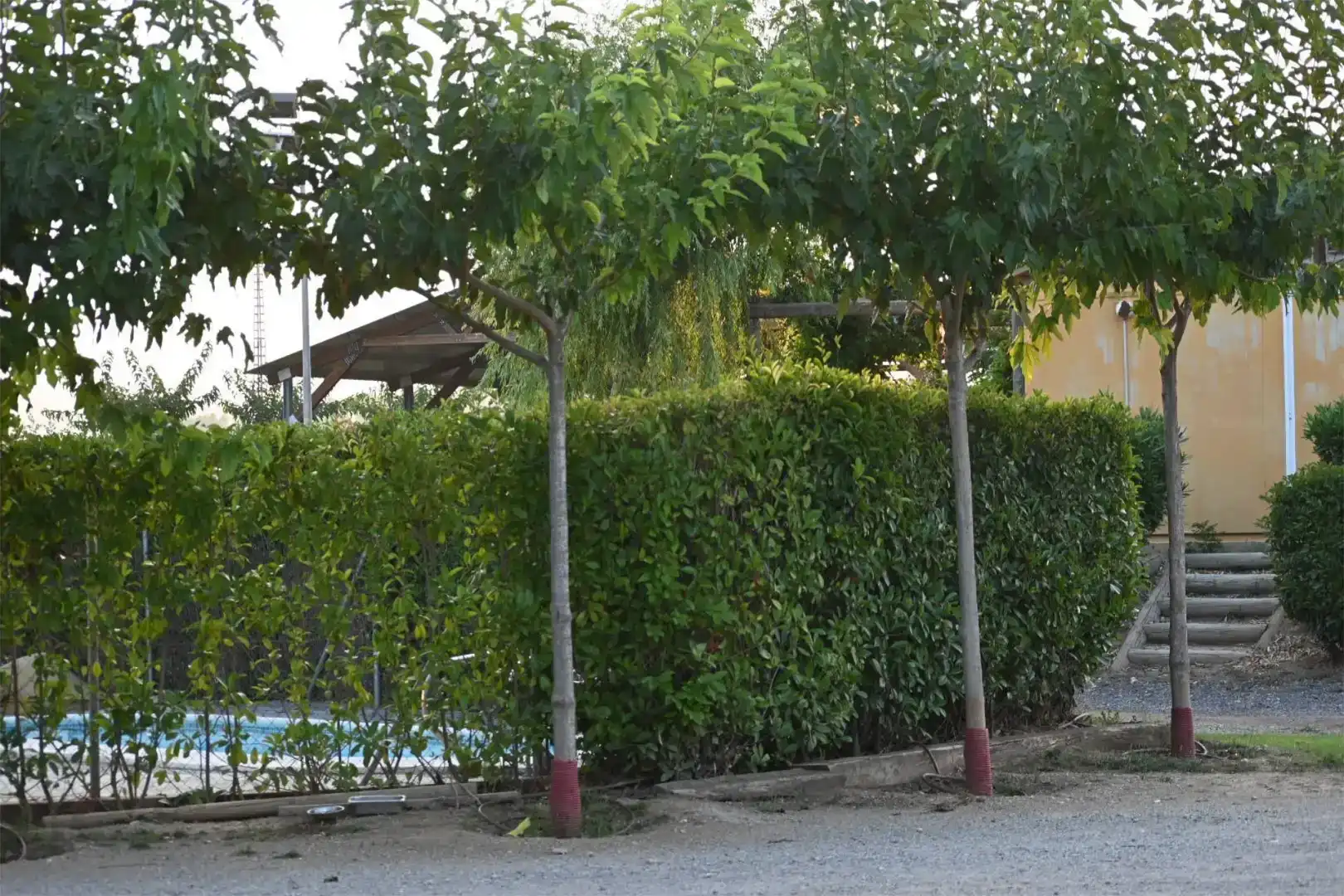 Jardí de Finca rústica en venda en Piera amb Aire condicionat i Piscina