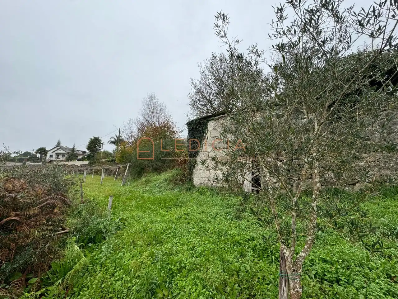Rural land for sale in San Martiño de Verducido, imagen 9