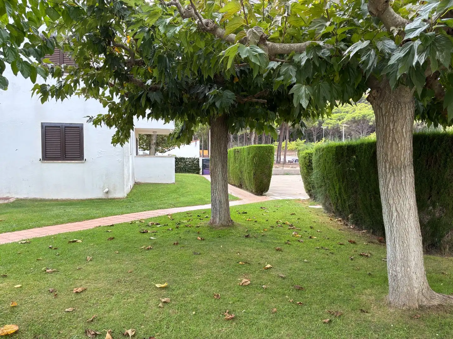 Garden of Apartments for sale in L'Escala  with Air Conditioner, Terrace and Swimming Pool