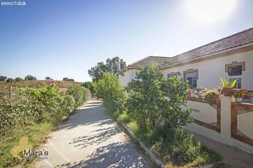 Residential land for sale in La Puebla del Río, imagen 8