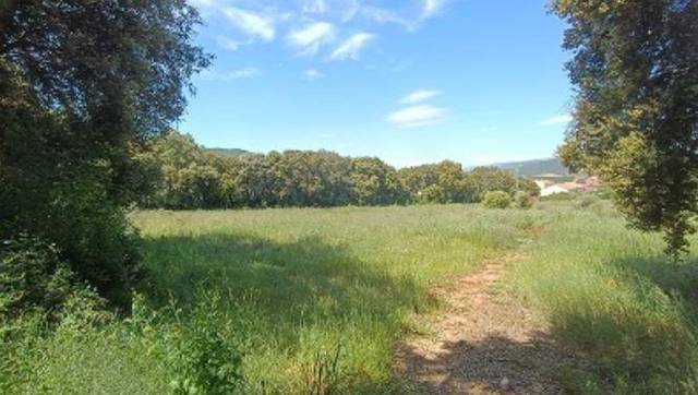 Terreno residencial en Venta en Igúzquiza