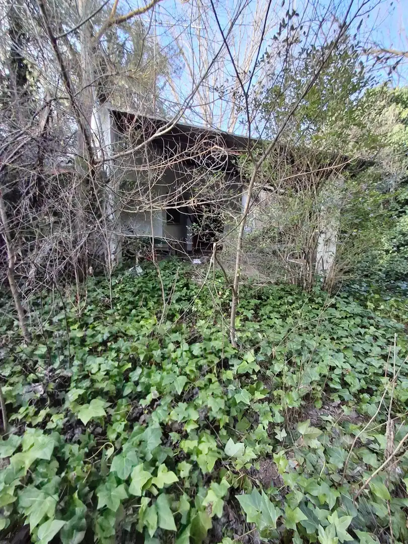 Houses for rent in Pezuela de las Torres