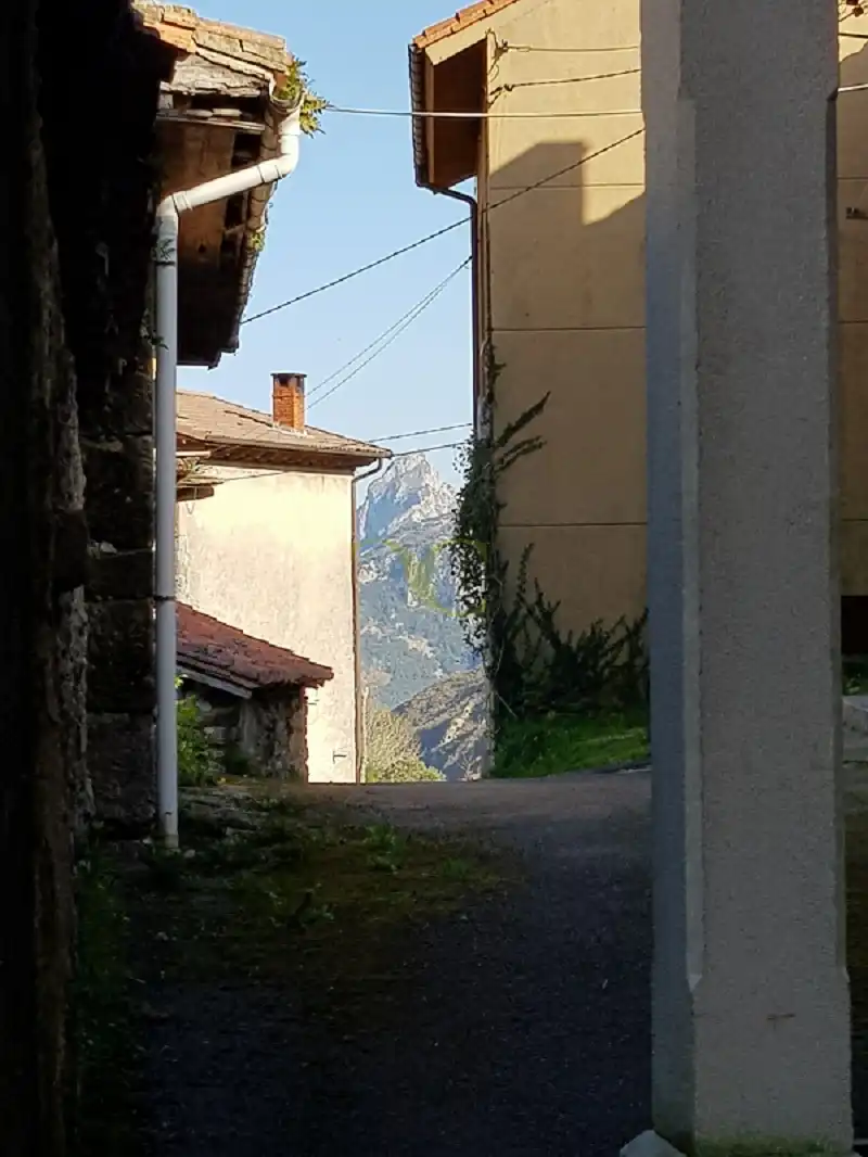 Commercial properties for sale in Rozagás, Peñamellera Alta