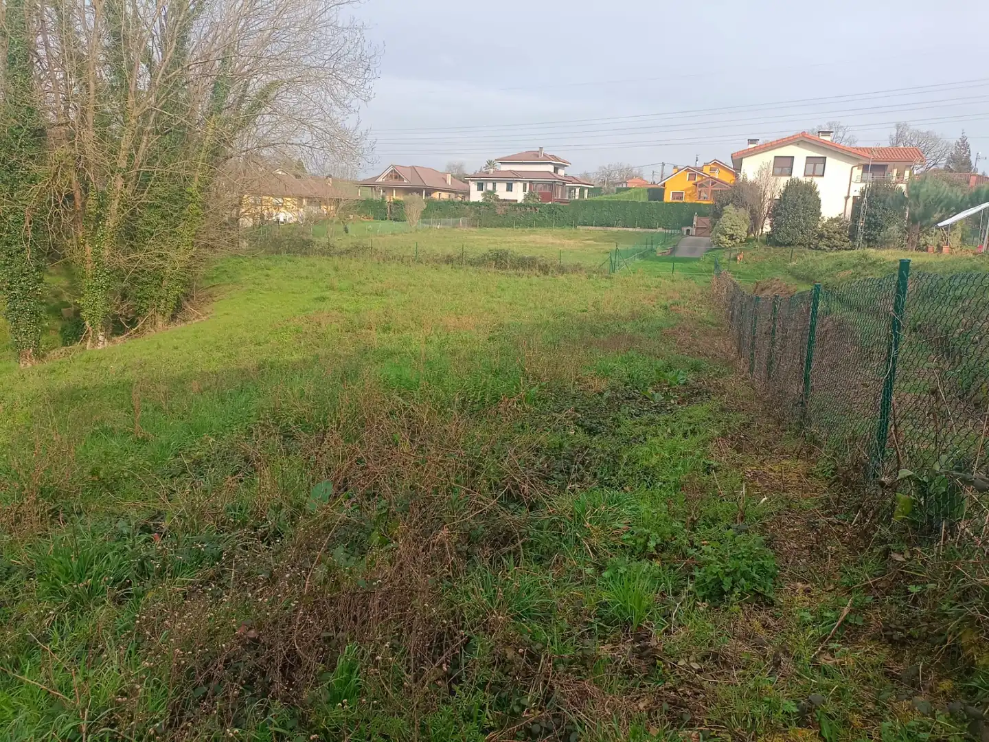 Land for sale in Llanera