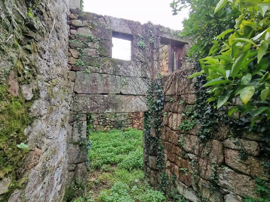 Vista exterior de Finca rústica en venta en Ribadavia