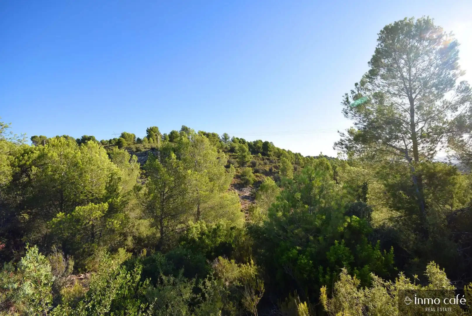 Terreny rústic en venda a L'Alcúdia de Crespins