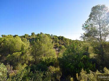 Terreny rústic en venda a L'Alcúdia de Crespins