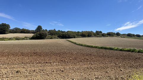 Finca en Padul, immagine 4