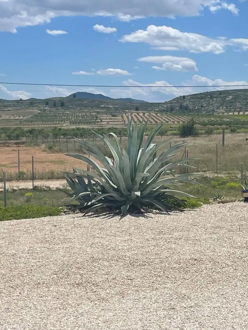 Villa à vendre à El Pinós / Pinoso, imagen 43