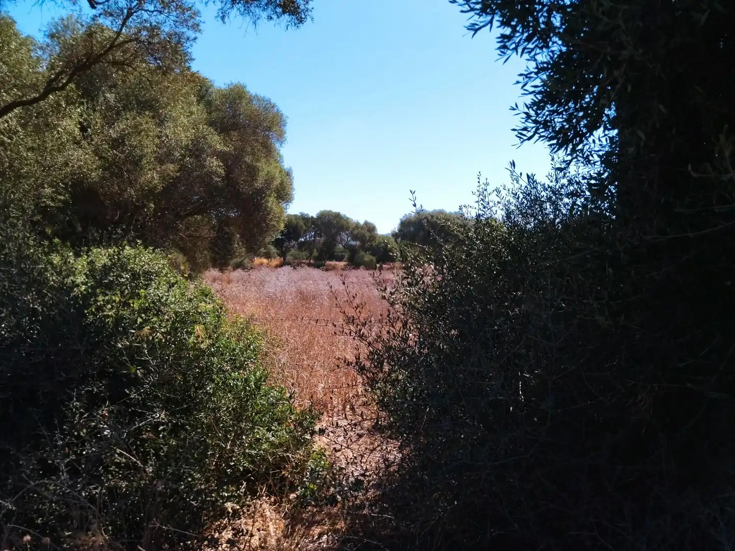 Terreno en venta en Vejer de la Frontera