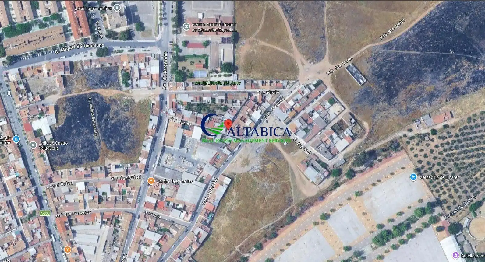House for sale in La Encina, imagen 3