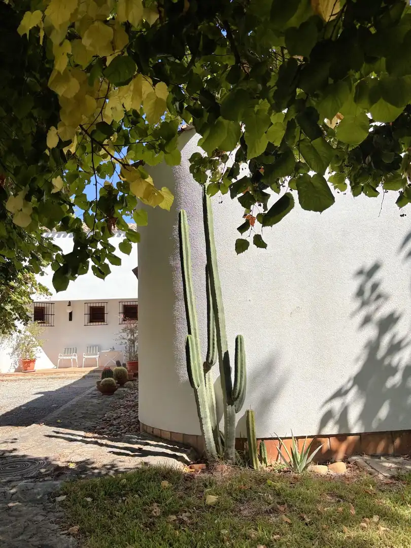 Jardí de Casa o xalet en venda en Ontinyent amb Calefacció, Jardí privat i Traster