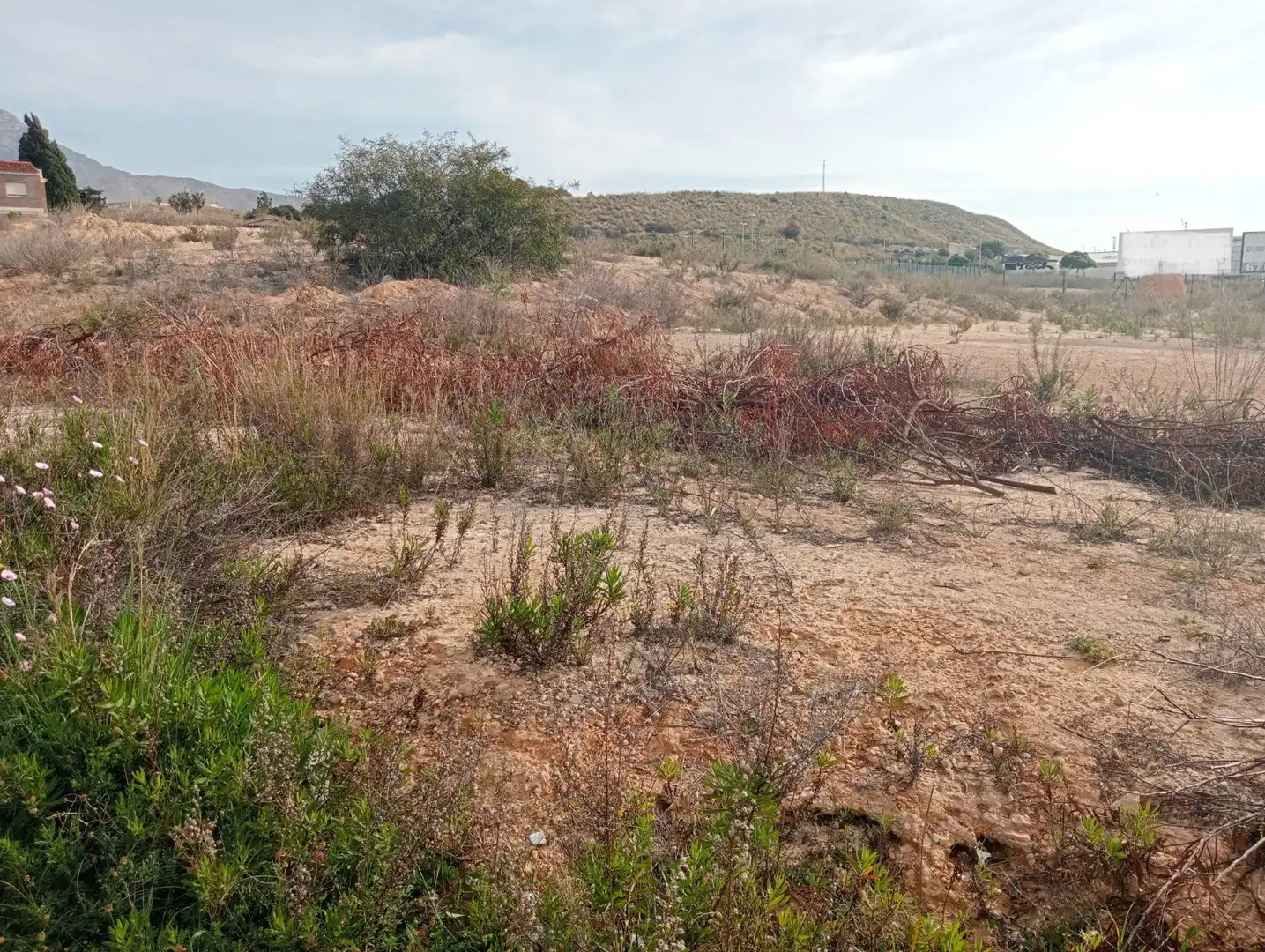 Terrenos y solares en venta en Platja de Torres, imagen 9
