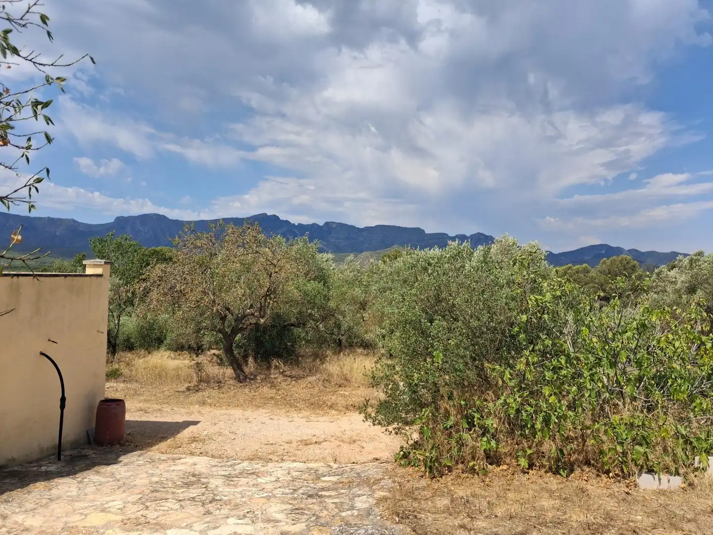 Finca rústica en venda en Tivissa amb Piscina comunitària