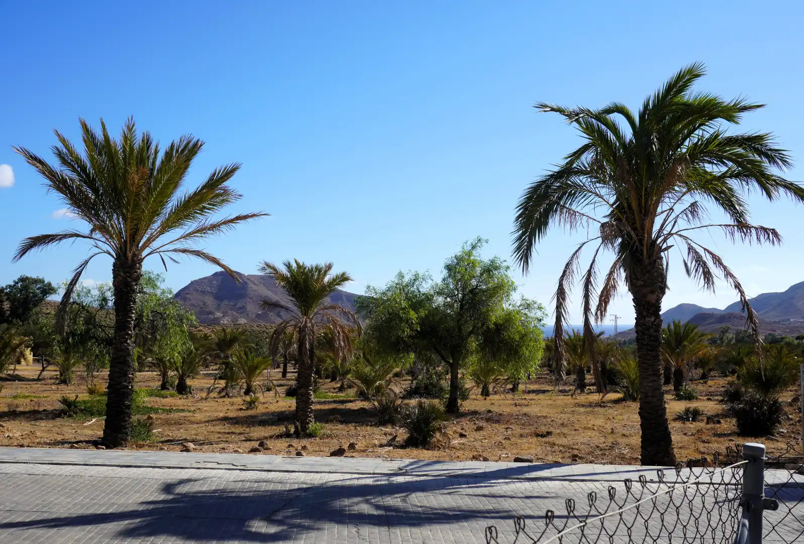 Detached house with garden for sale in Rodalquilar - La Isleta, imagen 17
