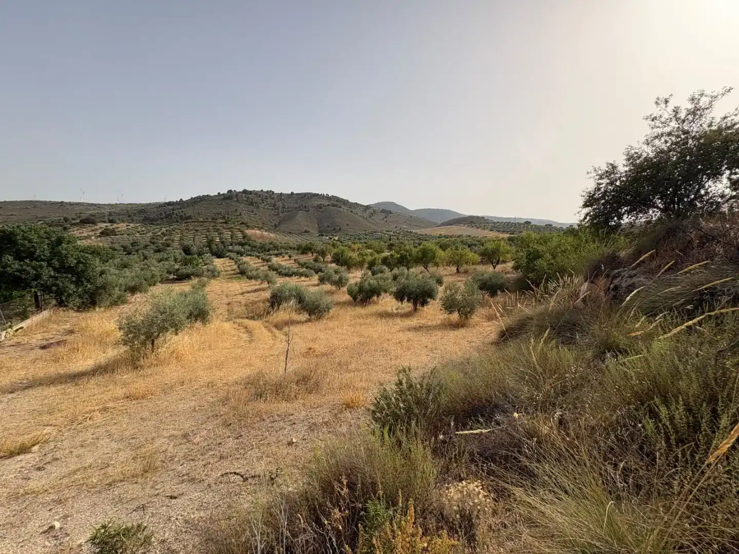 Pis en venda en Padul amb Jardí privat
