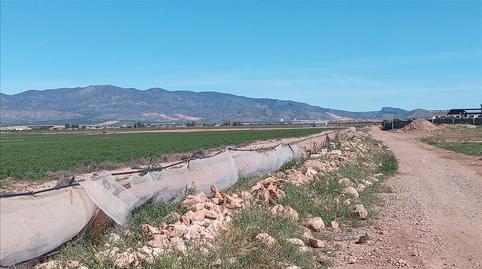 Foto 3 von Residential zum Verkauf in Diputacion de Media Legua, Centro, Fuente Álamo de Murcia