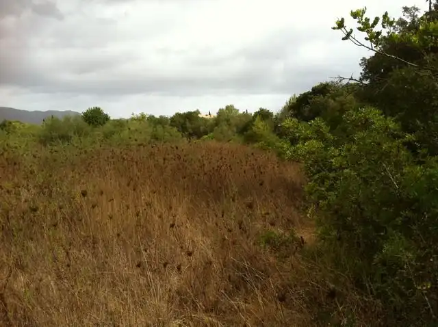 Terreno rustico in vendita a Pollença Poble, imagen 7
