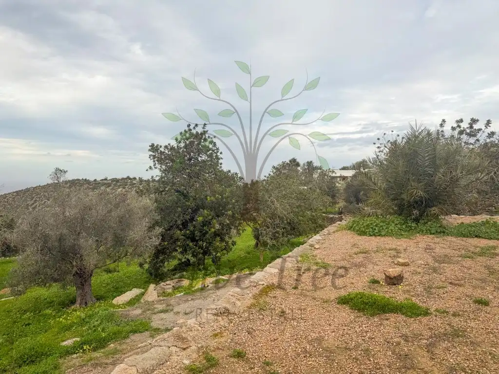 Houses for rent in Sant Joan de Labritja  with Swimming Pool
