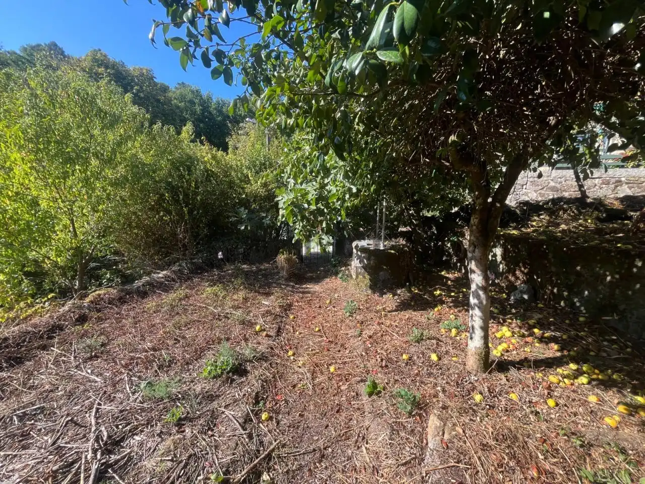 Casa o xalet en venda en Ourense Capital  amb Calefacció, Jardí privat i Terrassa