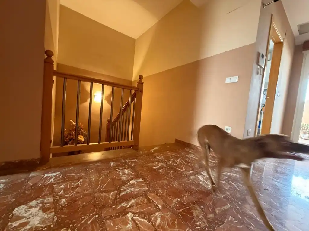 Penthouse mit Aufzug zum Verkauf in Calle Carinyena, imagen 24